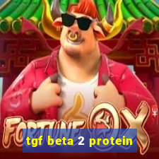 tgf beta 2 protein