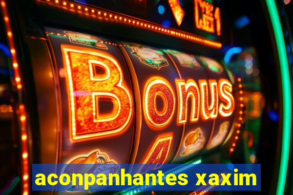 aconpanhantes xaxim