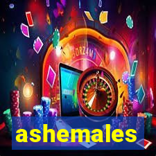 ashemales